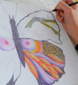 Eine Schmetterlingsillustration entsteht im Zeichenkurs Malen in der Natur der Kunstschule Frankfurt Atelier Irene Schuh