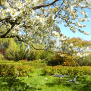 Kunstschule-Ireneschuh, Kunstschulefrankfurt-Atelierireneschuh,idyllischen Ateliergarten der Kunstschule im Frühling.