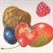 Zeichenkurs in der Kunstschule Frankfurt Atelier Irene Schuh