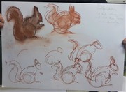 Richtig zeichnen lernen im Atelier